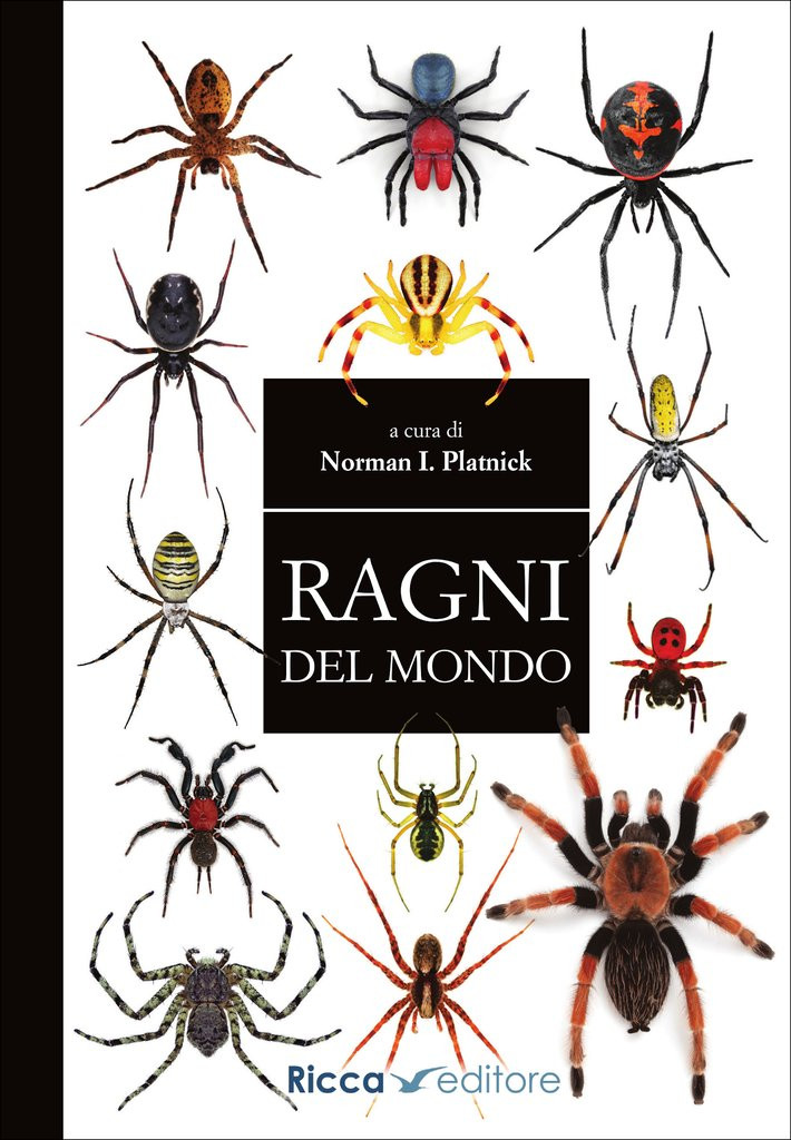 RAGNI DEL MONDO