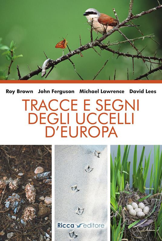 TRACCE E SEGNI DEGLI UCCELLI D EUROPA