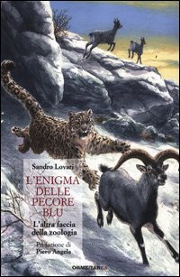 L ENIGMA DELLE PECORE BLU