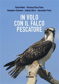 IN VOLO CON IL FALCO PESCATORE