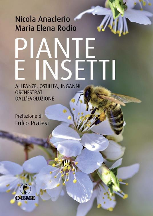 PIANTE E INSETTI