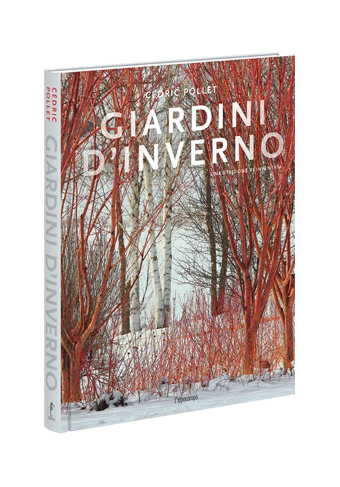 GIARDINI D INVERNO
