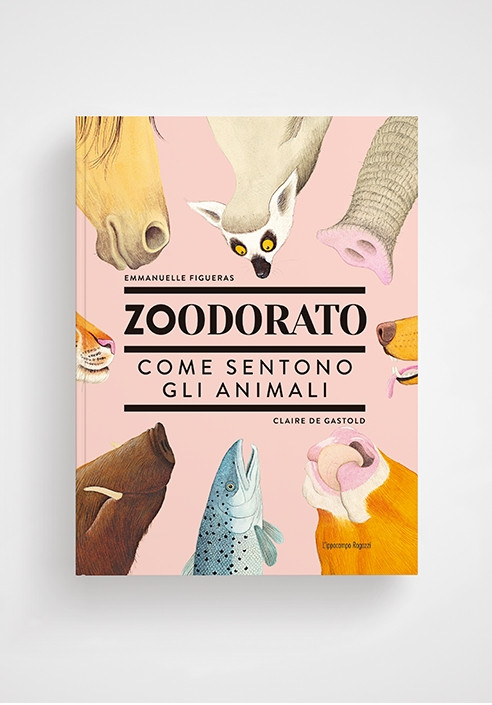 ZOODORATO COME SENTONO GLI ANIMALI