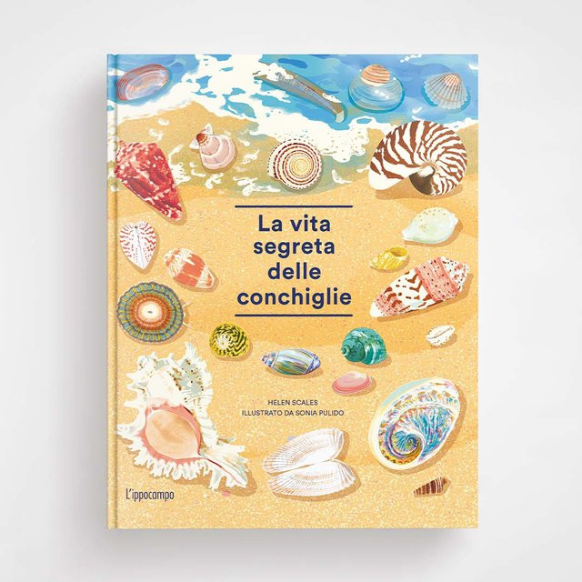 LA VITA SEGRETA DELLE CONCHIGLIE