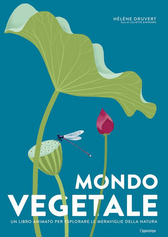 MONDO VEGETALE