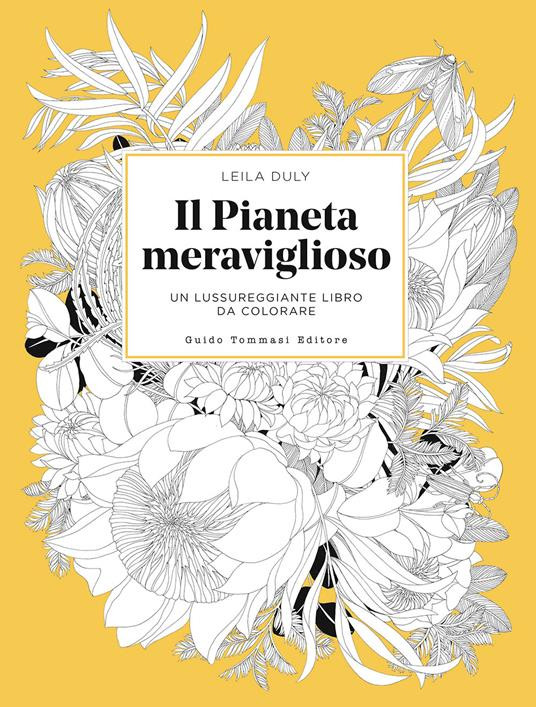 IL PIANETA MERAVIGLIOSO