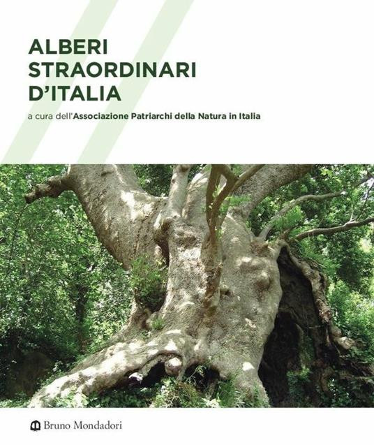 ALBERI STRAORDINARI D ITALIA