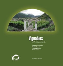 VIGNOBLES DI PONT SAINT MARTIN