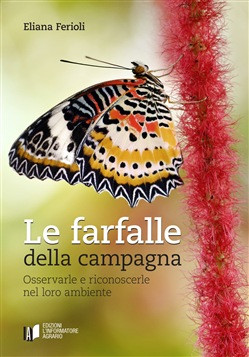 LE FARFALLE DELLA CAMPAGNA