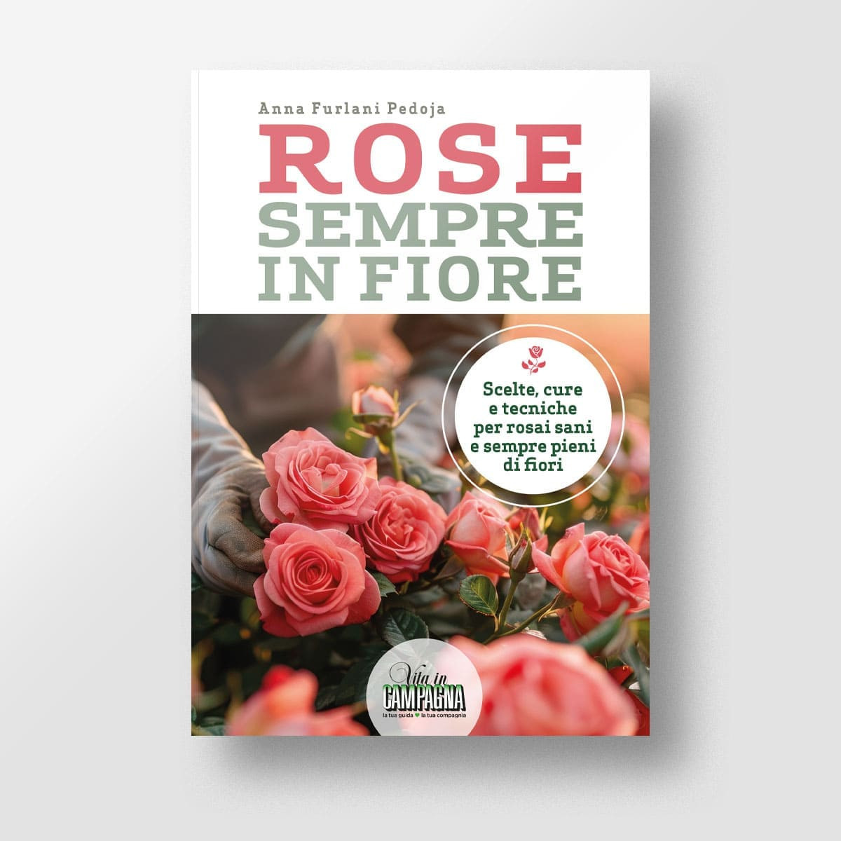 ROSE SEMPRE IN FIORE