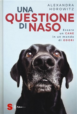 UNA QUESTIONE DI NASO