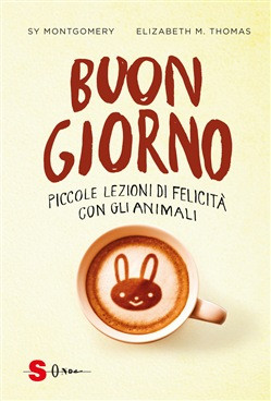 BUON GIORNO