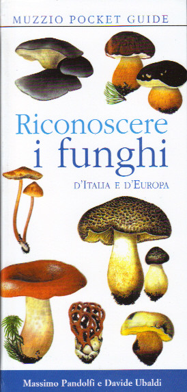 RICONOSCERE I FUNGHI