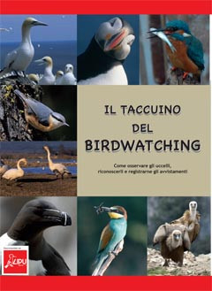 IL TACCUINO DEL BIRDWATCHING