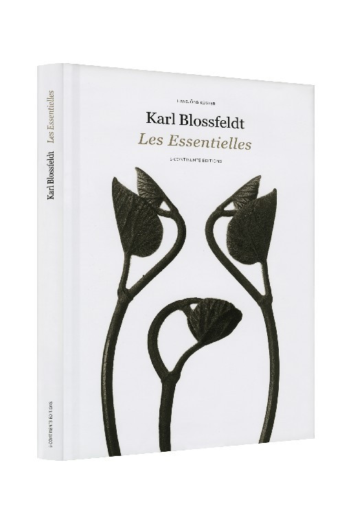 KARL BLOSSFELDT LES ESSENTIELLES