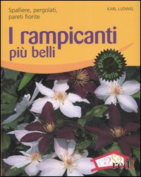RAMPICANTI PIU  BELLI