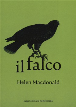IL FALCO