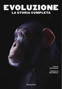EVOLUZIONE