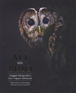 ALI NEL BUIO
