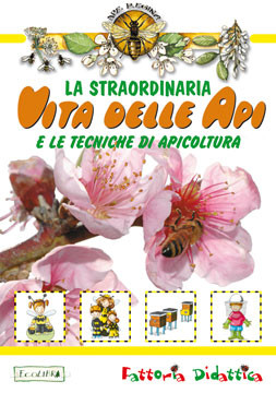 LA STRAORDINARIA VITA DELLE API
