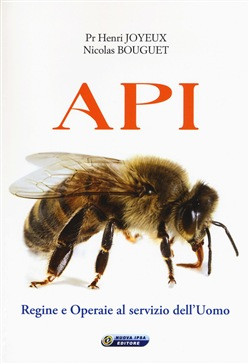 API