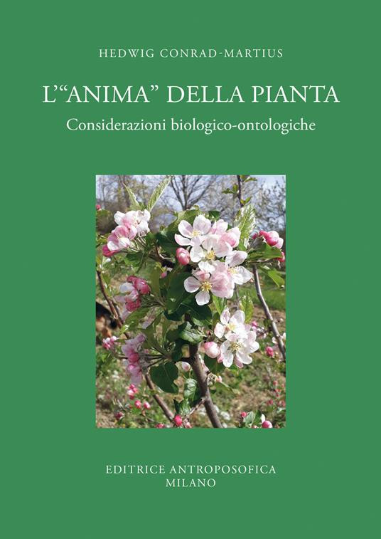 L ANIMA DELLA PIANTA