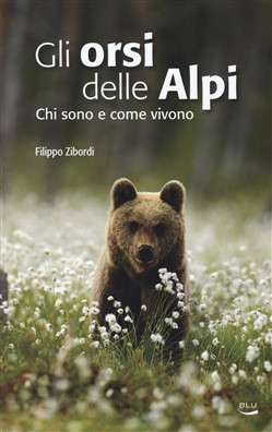GLI ORSI DELLE ALPI
