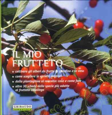 MIO FRUTTETO