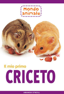 MIO PRIMO CRICETO