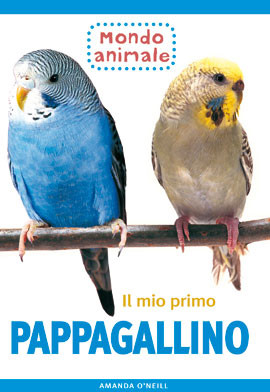 MIO PRIMO PAPPAGALLINO