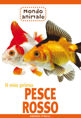 MIO PRIMO PESCE ROSSO