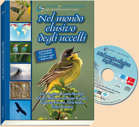 NEL MONDO ELUSIVO DEGLI UCCELLI