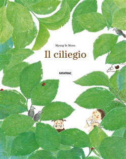 IL CILIEGIO
