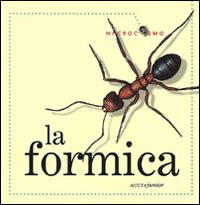 FORMICA
