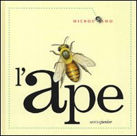 APE