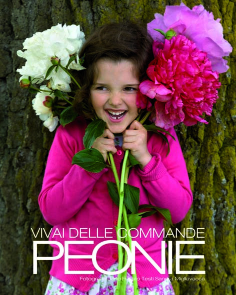 PEONIE