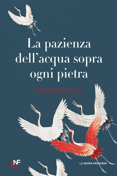LA PAZIENZA DELL ACQUA SOPRA OGNI PIETRA