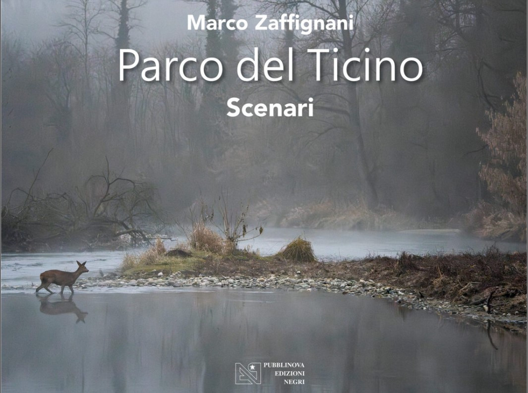 PARCO DEL TICINO SCENARI