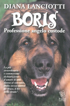 BORIS PROFESSIONE ANGELO CUSTODE
