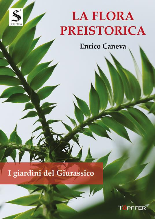 LA FLORA PREISTORICA