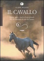 IL CAVALLO