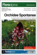 ORCHIDEE SPONTANEE