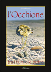 L OCCHIONE