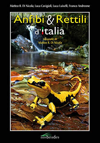 ANFIBI & RETTILI D ITALIA