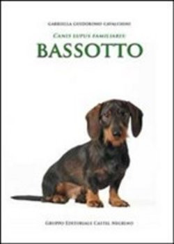 BASSOTTO