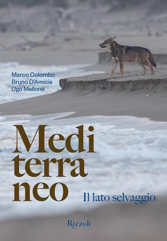 MEDITERRANEO