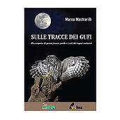 SULLE TRACCE DEI GUFI