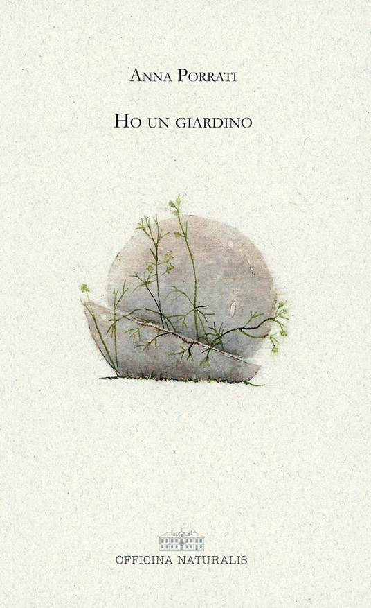 HO UN GIARDINO