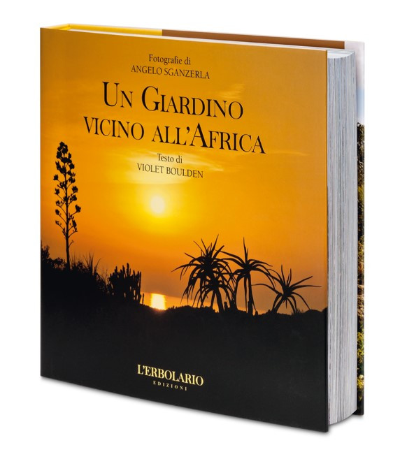 UN GIARDINO VICINO ALL AFRICA