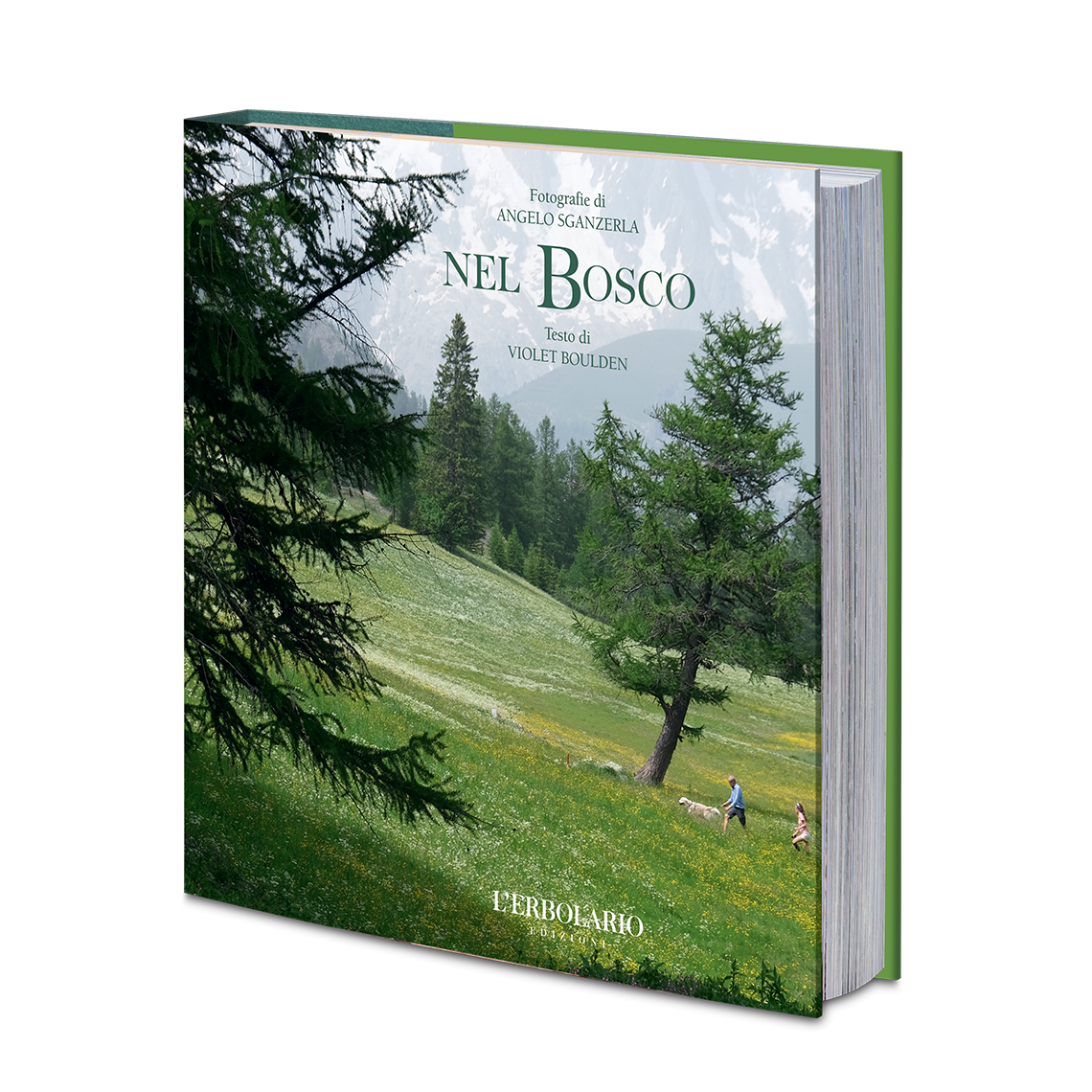 NEL BOSCO